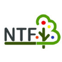 โลโก้ NTF
